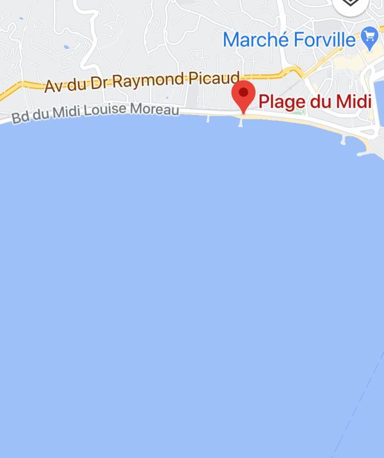 Appartement Rooftop, Premiere Ligne, Vue Mer, 50M De Plage Du Midi Канны Экстерьер фото